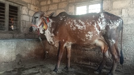 थंबनेल 3