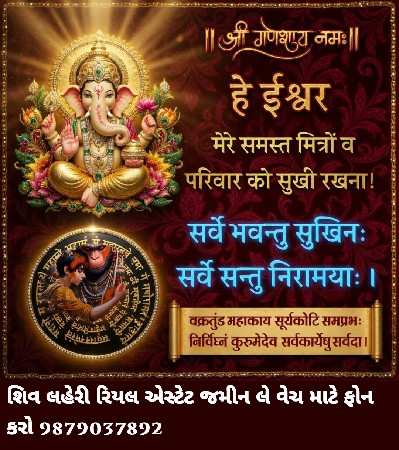 થંબનેલ 6