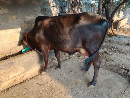 थंबनेल 3