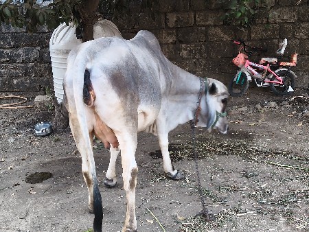 थंबनेल 2