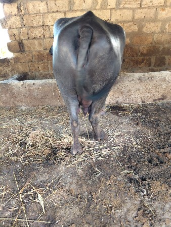 થંબનેલ 3