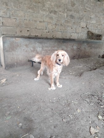 થંબનેલ 2