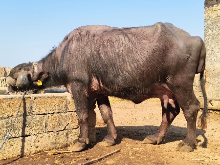 थंबनेल 3