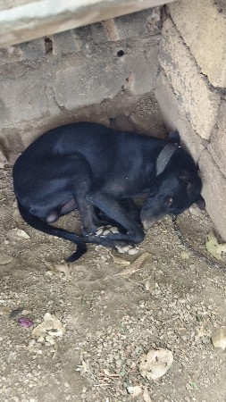 થંબનેલ 2