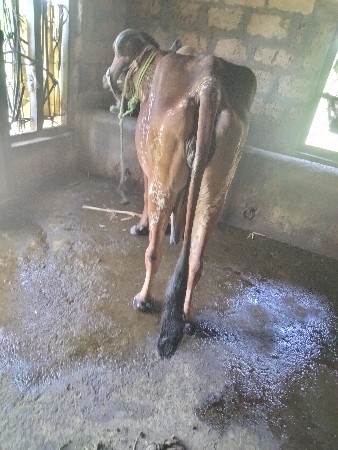 थंबनेल 3