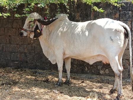 थंबनेल 2