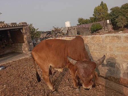 थंबनेल 2