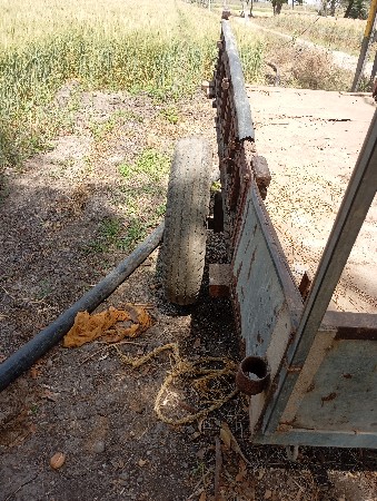 थंबनेल 2