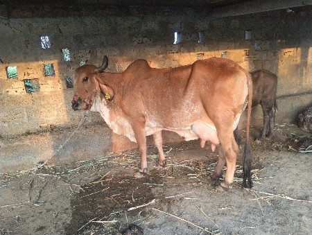 થંબનેલ 2