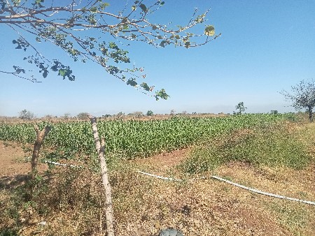 ખેતીની જમીન વેચવાની છે