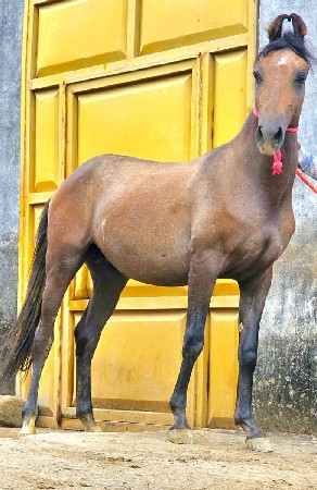 થંબનેલ 3