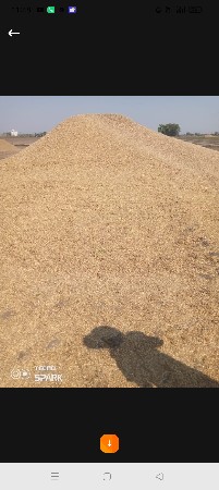 ચણાનું ખારયુ વેચવાનું છે