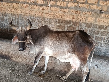 थंबनेल 2