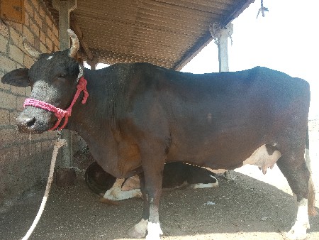 थंबनेल 2