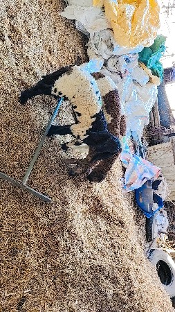 थंबनेल 2