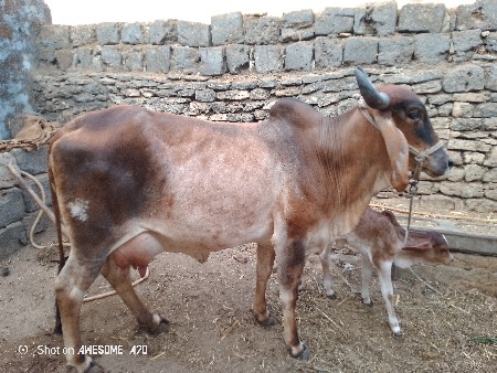 थंबनेल 2