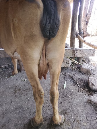 थंबनेल 6