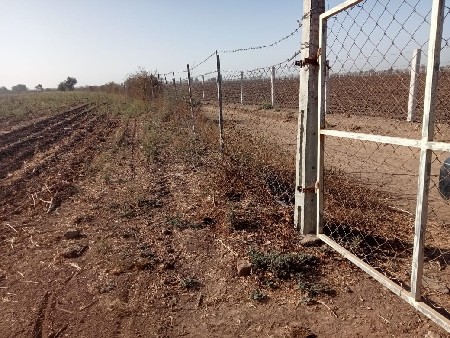 થંબનેલ 3