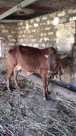 थंबनेल 3