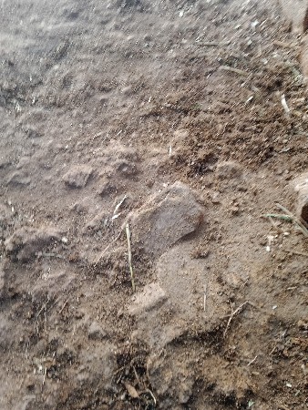 કુવાનો આડો સાયડો વેસાવ ચે