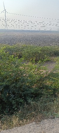 थंबनेल 2