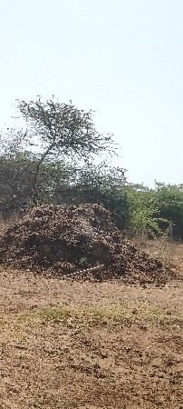 ખતર નો ધાગલો