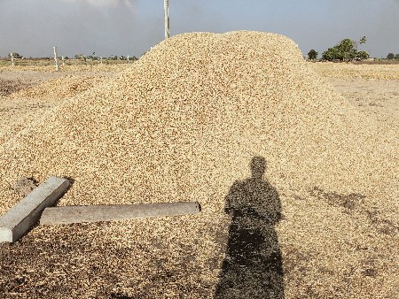 ચણાનો ખારું વેચવાનું છે