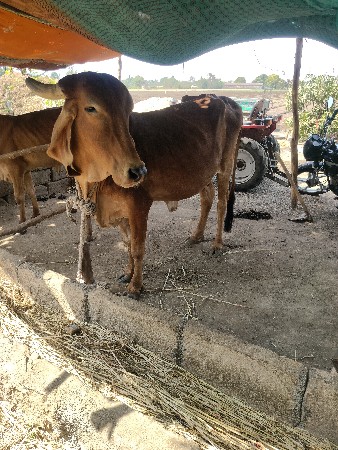 थंबनेल 2