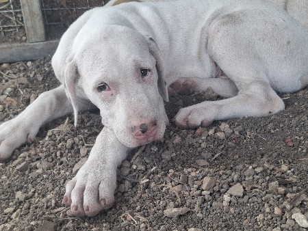 थंबनेल 2