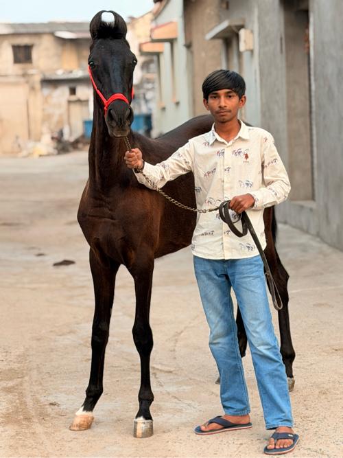 थंबनेल 3