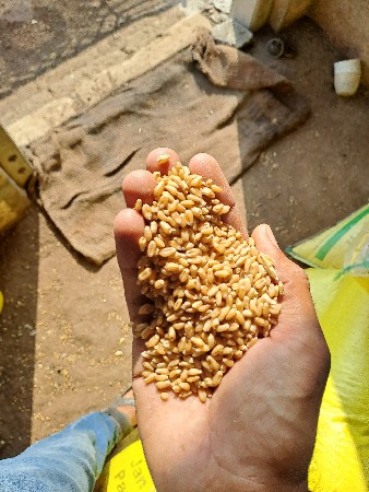 थंबनेल 3