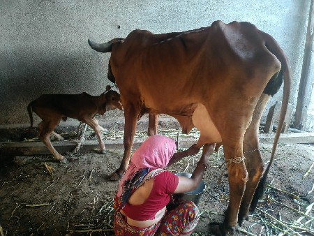 थंबनेल 2