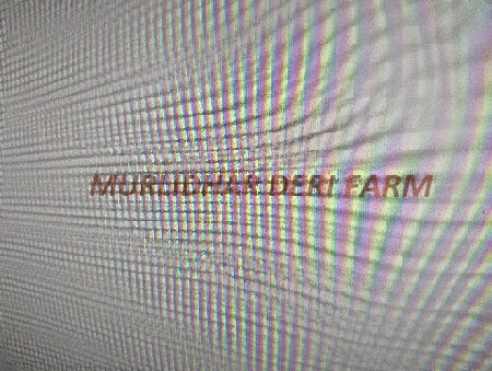 દેશી ઘી વેચવાનું છે