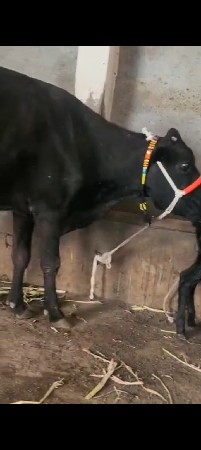 થંબનેલ 3