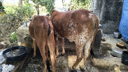 थंबनेल 3