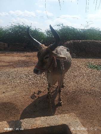 थंबनेल 2