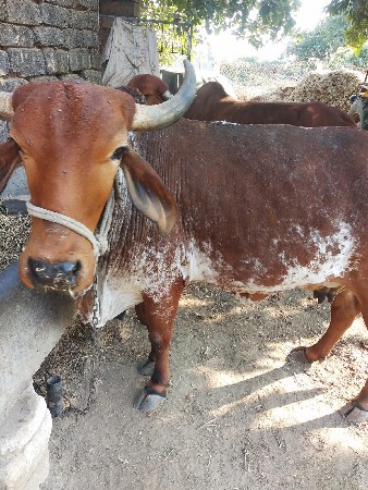 થંબનેલ 3