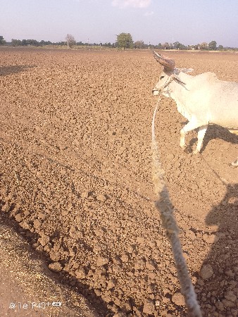 થંબનેલ 2