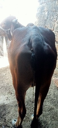 થંબનેલ 3