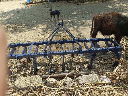 થંબનેલ 4