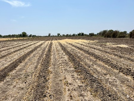 જમીન વેચવાની છે.