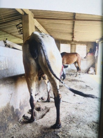 थंबनेल 2