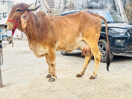 थंबनेल 2