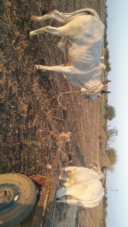 थंबनेल 3