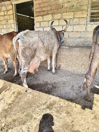 थंबनेल 3