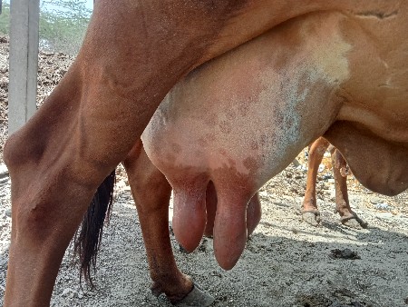 થંબનેલ 2