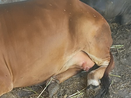 થંબનેલ 3