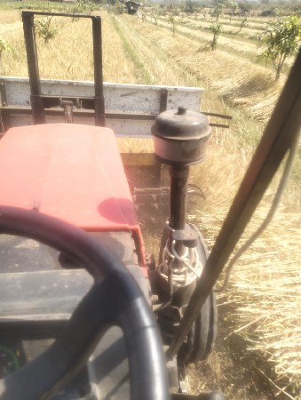 જવાર વાઢવા માટે કોલ કરો