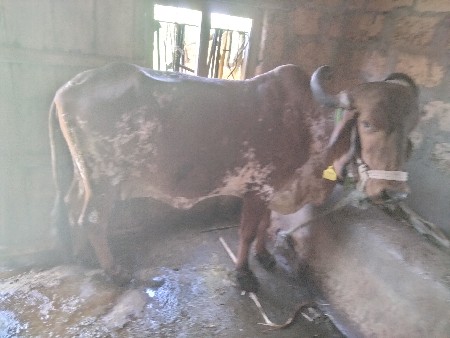 थंबनेल 2