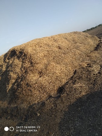 ભૂકો વેચવાનો સે કોરો